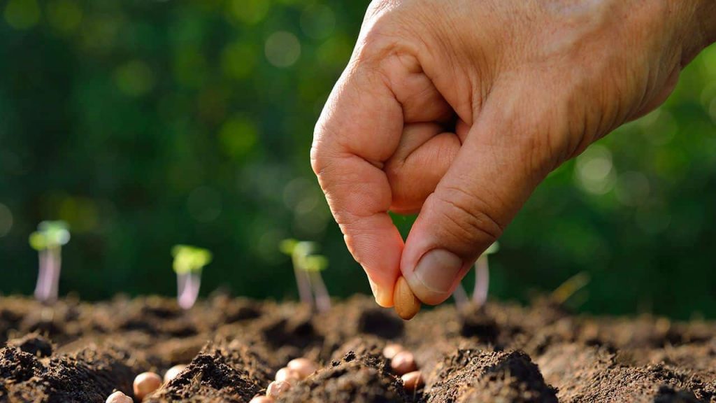 Personas interesadas en cultivar